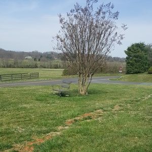 Meet your Posher, Tomas